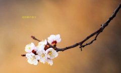 在這春暖花開的季節(jié)，歡迎你們加入知道網(wǎng)絡(luò)