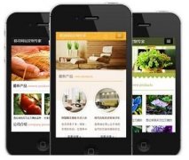 手機(jī)網(wǎng)站怎樣做才更有效果？如何做優(yōu)化？