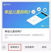 騰訊信用分全國(guó)公測(cè)，查了一下之后懵逼了。。